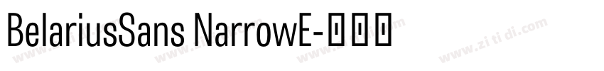 BelariusSans NarrowE字体转换 BelariusSans NarrowE字体转换
